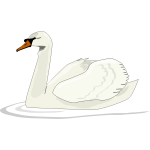 Swan swimming vector