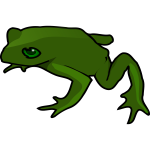 Frog vector art