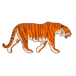 Tiger VII