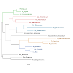 Biology diagram