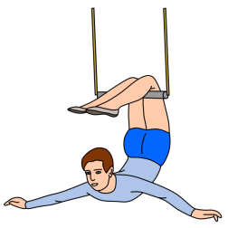 Trapeze