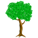 Tree 003