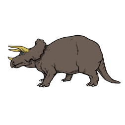 Triceratops 1