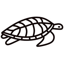 Turtle VI