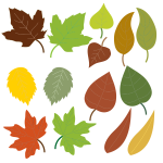 Variety of leaves