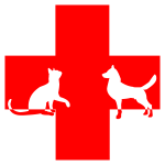 Veterinary First Aid
