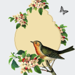 Small bird on an apple blossom tree vector image