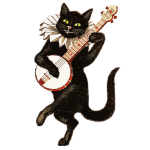 Cat musician