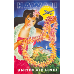 Hawaiian tourism poster