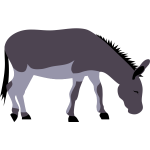 Pasturing donkey