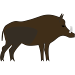 Wild boar-1573128804