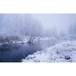 Winter River Scene
