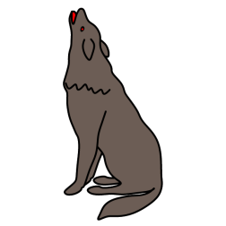 Wolf 13