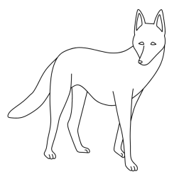 Wolf 15