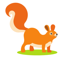 A cute squirrel