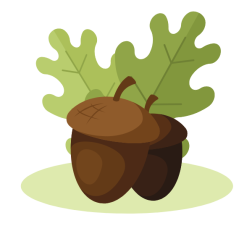 Acorns