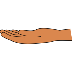 Opened hand palm