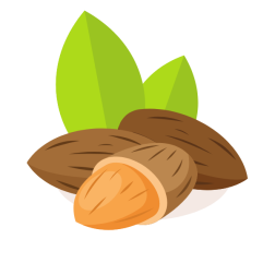 Almond fruit