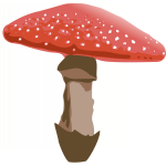 Red mushroom with dots