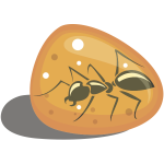 Ant in amber-1576590613