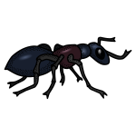 Colored ant line art vector graphics