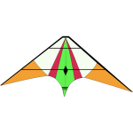 Kite vector image