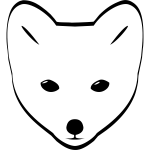 Arctic Fox head