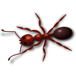 Spider Insect 3 Free SVG