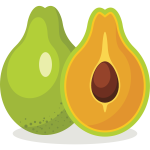 Avocado-1574063446