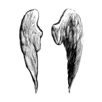 Vector drawing of two bird wings covered in feathers