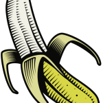 Banana vector image