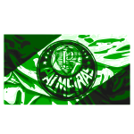 bandeira Palmeiras
