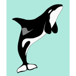 basic orca