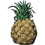 Basic pineapple