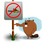 Beaver cartoon image