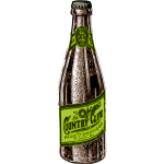 Vector illustration of brown and green beer bottle