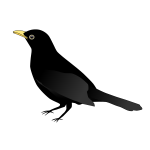 Blackbird standing vector clip art