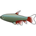 bloodfin