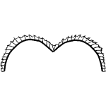 Vector graphics of ballerina white bodice lace