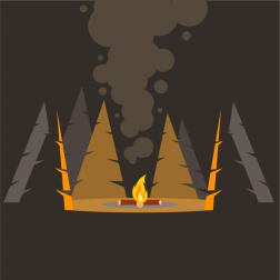 Campfire in the forest