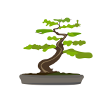 bonsai modified