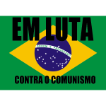 brazilian flag sv
