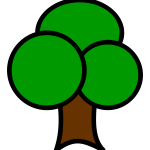 Broadleaf tree