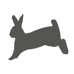 bunny hopping 01