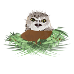 Vector drawing of burrowing owl in its den