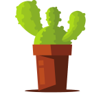 Cactus plant in a pot-1723997564