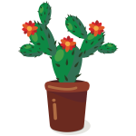 Cactus-1574071167