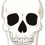 White skull-1635536980