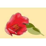 camellia with bird