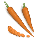 Peeled and chopped carrots